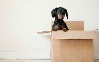 4 Reasons You May Want to Relocate in Retirement