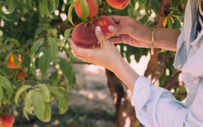 Preparing for an Unprecedented Benefits Open Enrollment