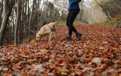 What to Think About for Retirement if You are Single