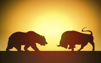 Bears versus Bulls