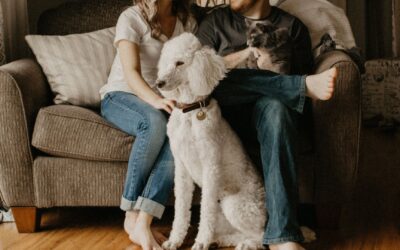 Budgeting for Your Pet