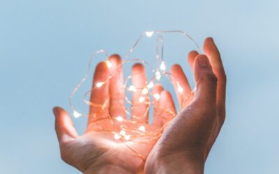 A Charitable Giving Experience