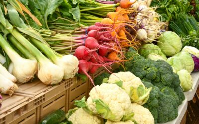 Understanding Your Benefits Package: The Food Pyramid of Employee Compensation